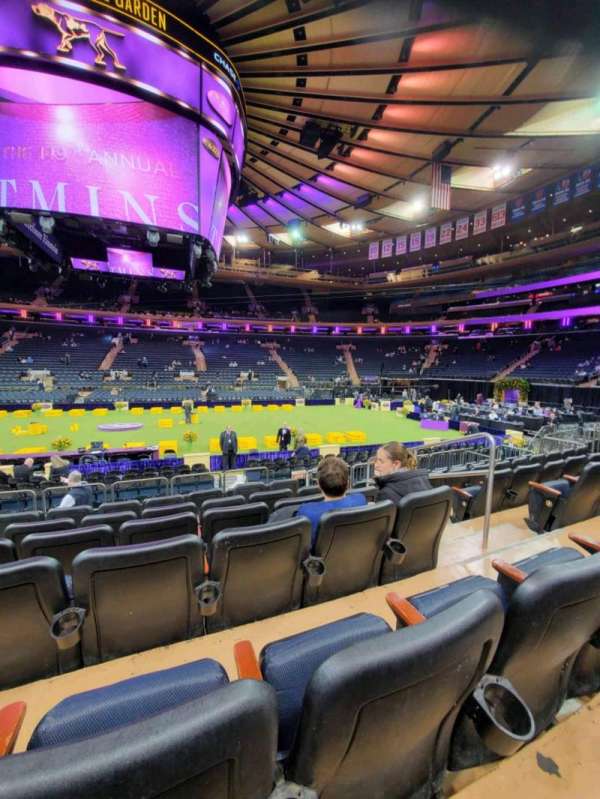 Madison Square Garden, section: 107, row: 7, seat: 17