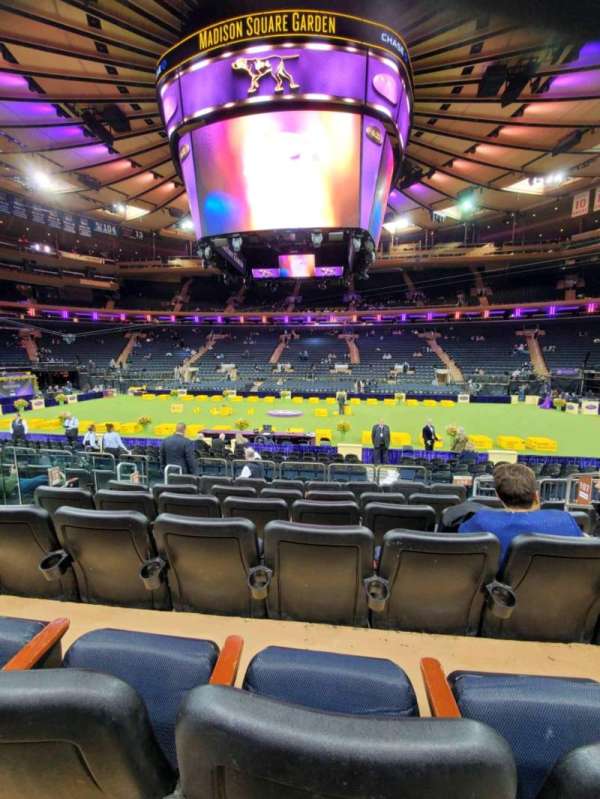 Madison Square Garden, section: 107, row: 7, seat: 17