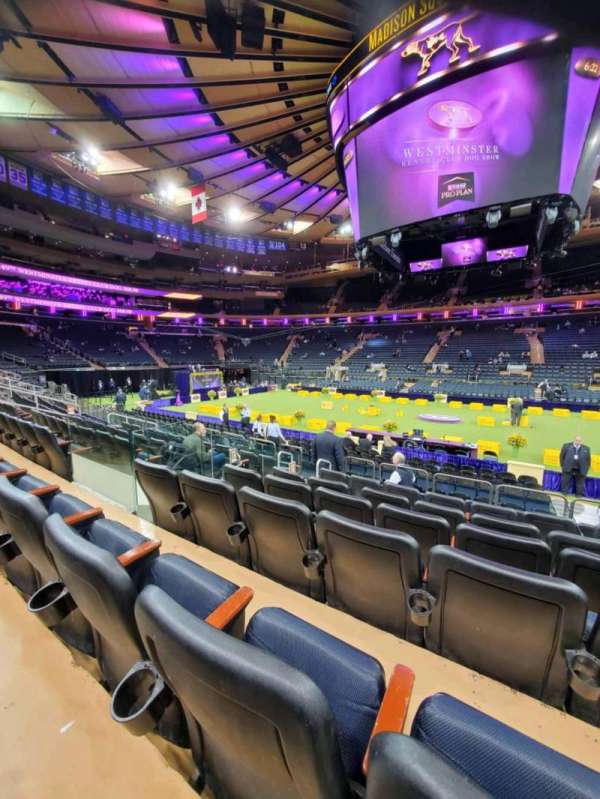 Madison Square Garden, section: 107, row: 7, seat: 17