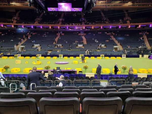 Madison Square Garden, section: 107, row: 7, seat: 15