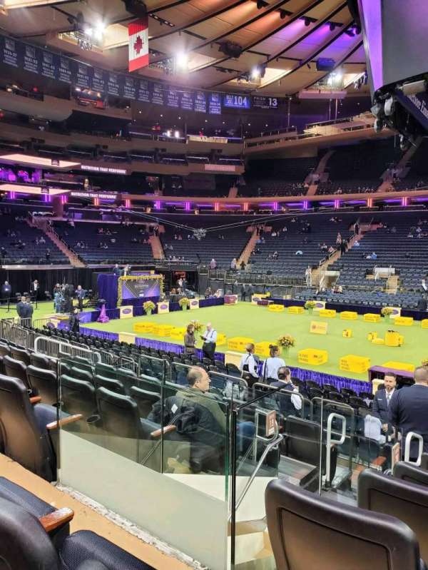 Madison Square Garden, section: 107, row: 7, seat: 14