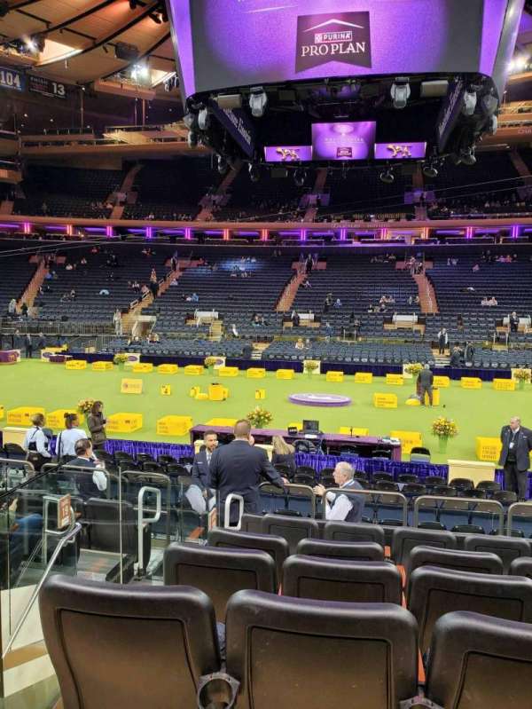 Madison Square Garden, section: 107, row: 7, seat: 14