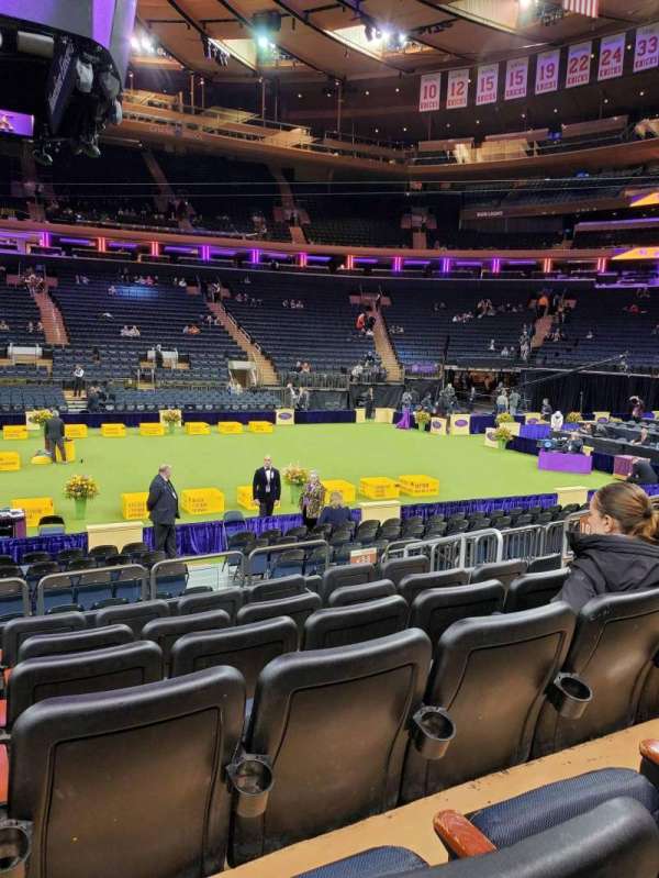 Madison Square Garden, section: 107, row: 7, seat: 14