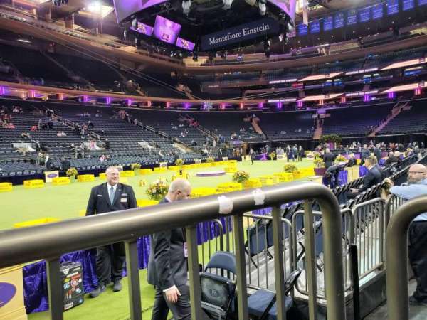 Madison Square Garden, section: 105, row: 1, seat: 8