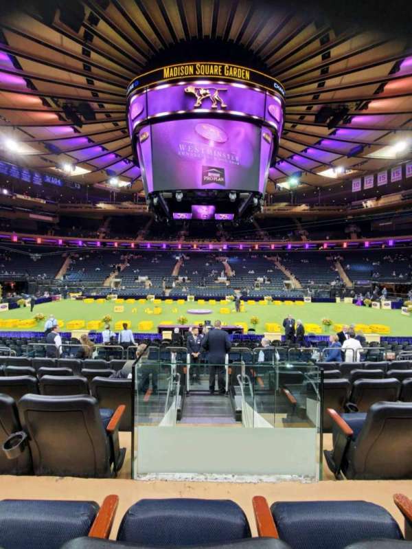 Madison Square Garden, section: 107, row: 7, seat: 10