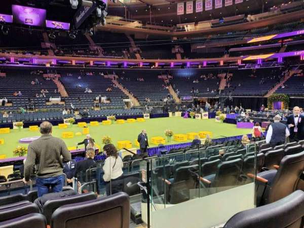 Madison Square Garden, section: 107, row: 7, seat: 7