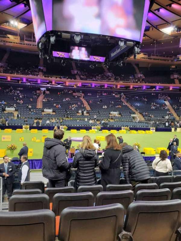 Madison Square Garden, section: 107, row: 7, seat: 1