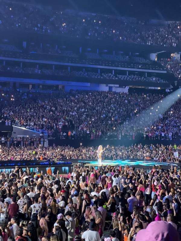 Allegiant Stadium, section: 115, row: 4, seat: 14
