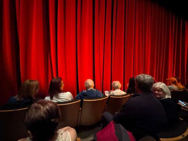 The Irene Diamond Stage at The Pershing Square Signature Center, section: Orchestra, row: C, seat: 104