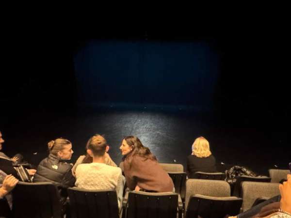 Ailey Citigroup Theater, section: Orchestra, row: D, seat: 11