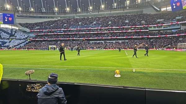 Tottenham Hotspur Stadium, section: 118, row: 1, seat: 567