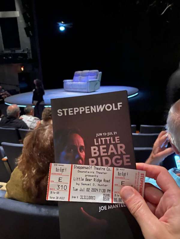 Steppenwolf Theatre, section: ORCH, row: E, seat: 310