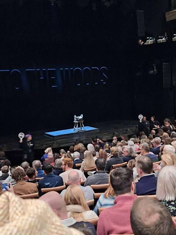 Bridge Theatre, section: Stalls, row: R, seat: 53