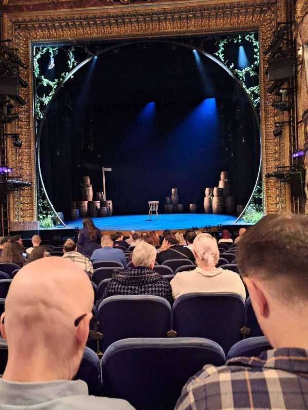 Theatre Royal Haymarket, section: Stalls, row: M, seat: 9