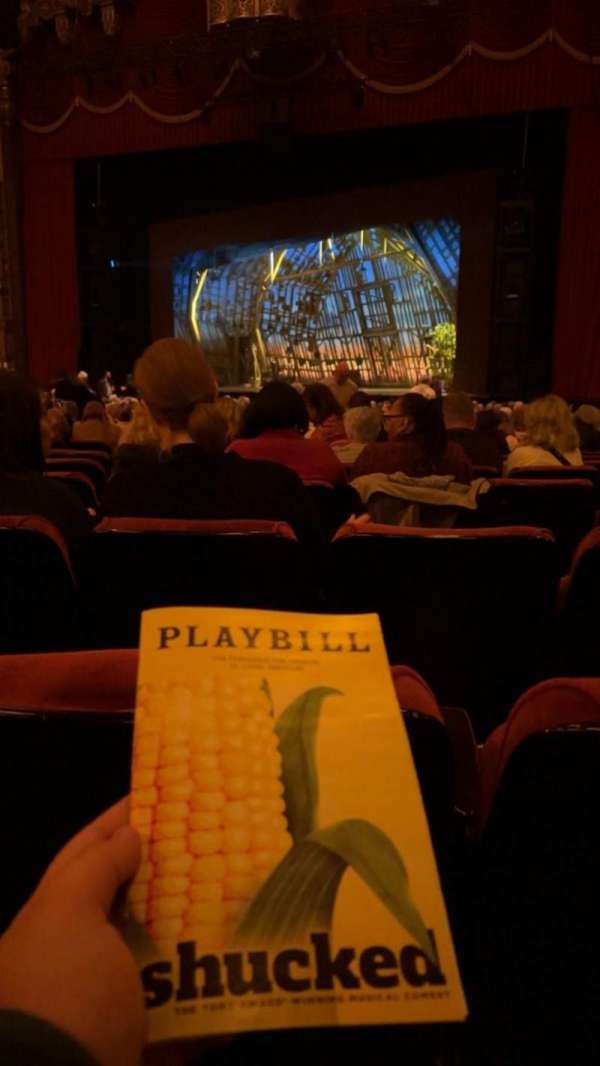 The Fabulous Fox Theatre, St. Louis, section: Orchestra 5, row: Y, seat: 14