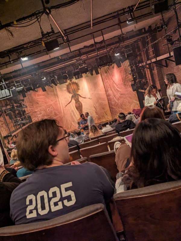 The Newman Theater at The Public Theater, section: 1st Floor, row: Q, seat: 7