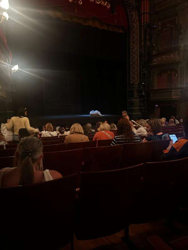 Leeds Grand Theatre, section: Stalls, row: M, seat: 29