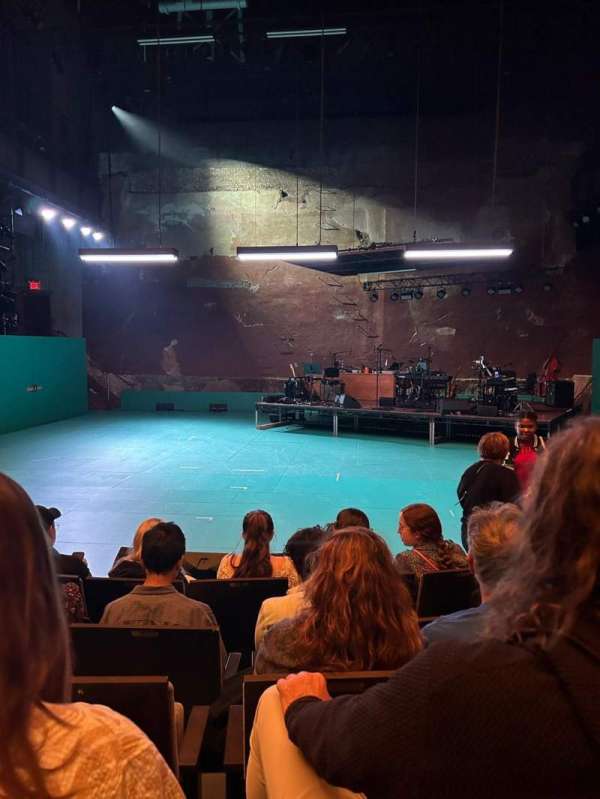 The Harvey Theater at The Brooklyn Academy Of Music, section: Orchestra C, row: E, seat: 111