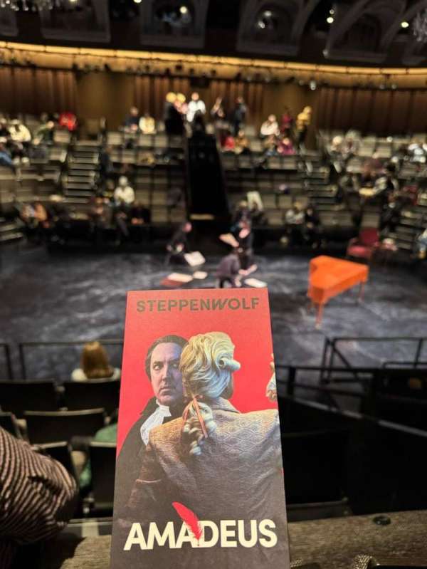 Steppenwolf Ensemble Theater, row: E, seat: 419