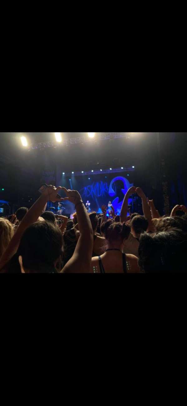Jannus Live