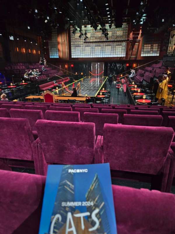 PAC NYC, section: Orchestra, row: L, seat: 14