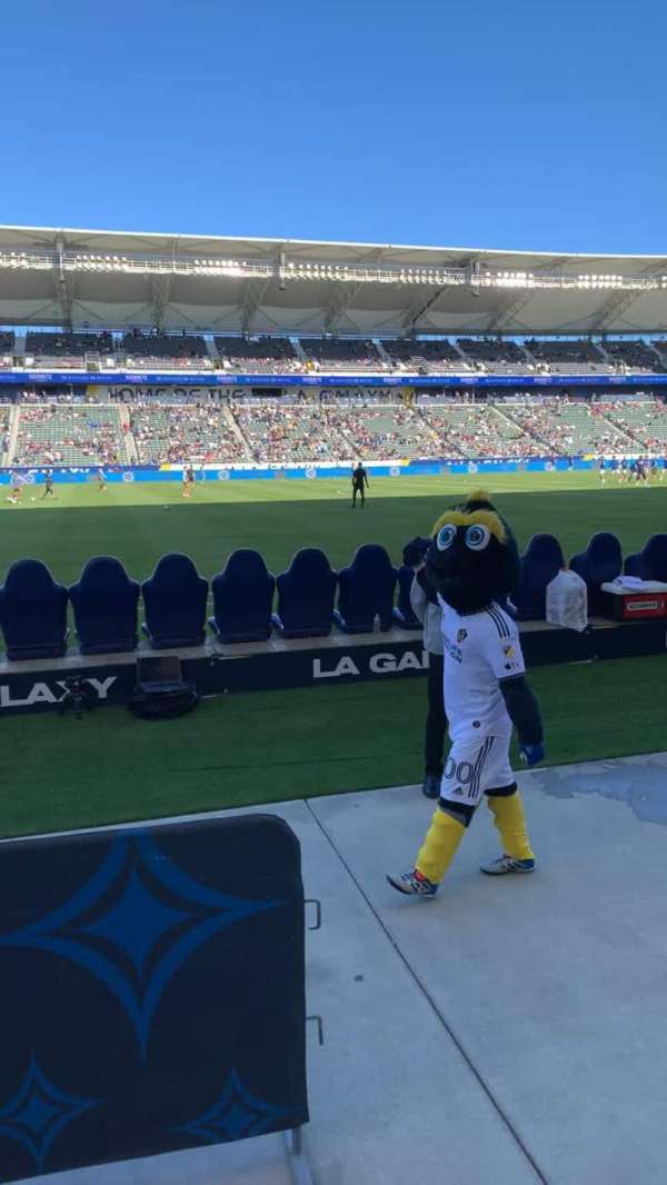 Dignity Health Sports Park, section: 113, row: A, seat: 9