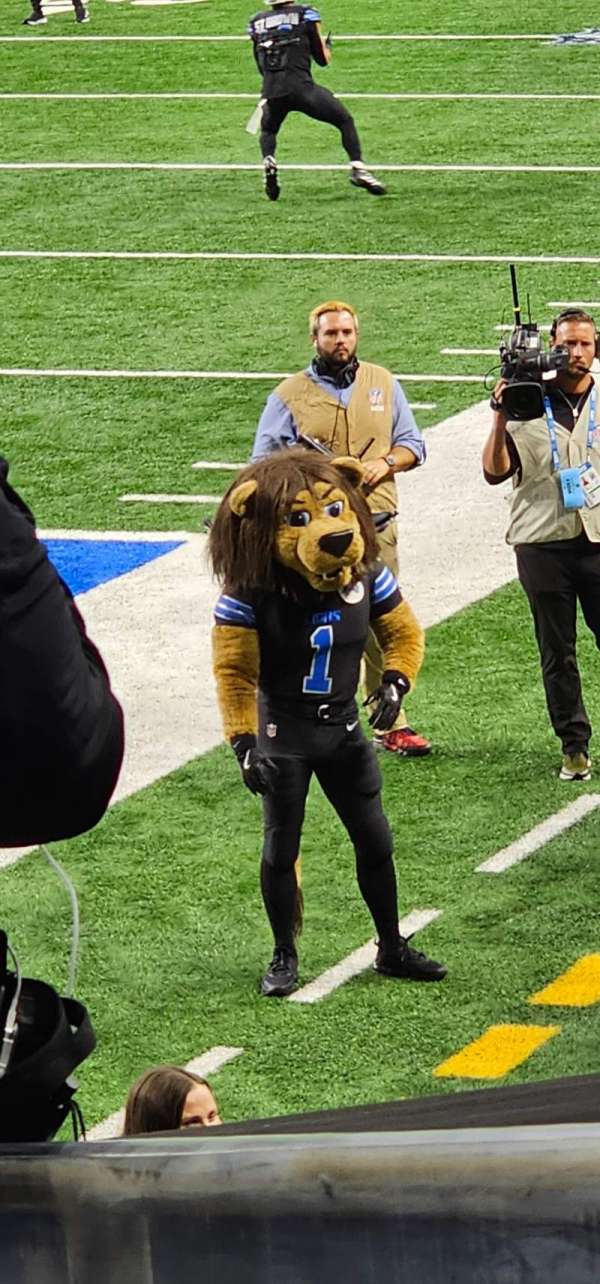 Ford Field, section: 141, row: 13, seat: 3