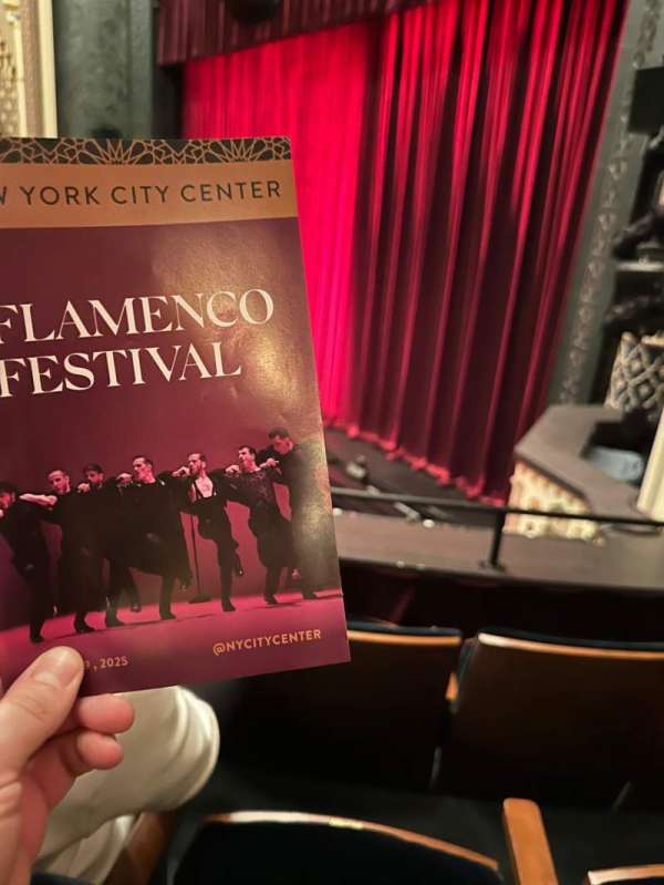 Mainstage at the New York City Center, section: Mezzanine R, row: C, seat: 22