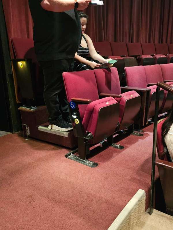 Vivian Beaumont Theater, section: ORCHESTRA R, row: N, seat: 501,502