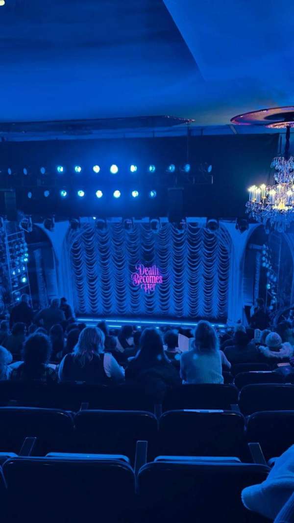 Lunt-Fontanne Theatre, section: Rear Mezzanine R, row: M, seat: 116