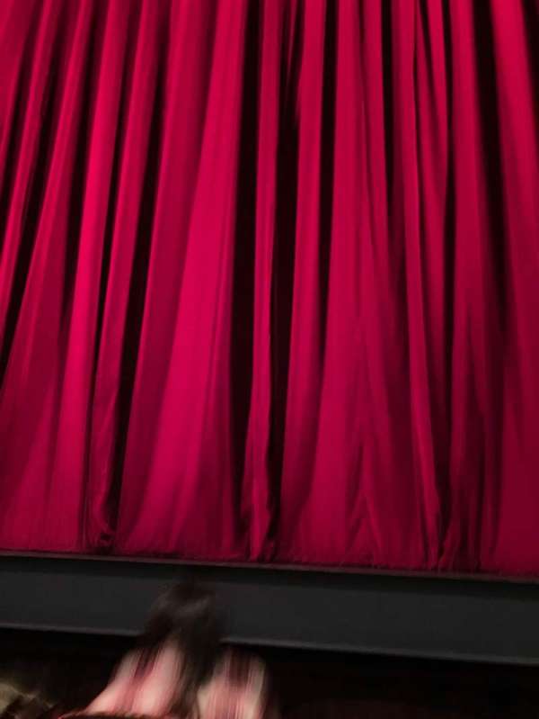 The Joyce Theater, section: Orchestra, row: C, seat: 106