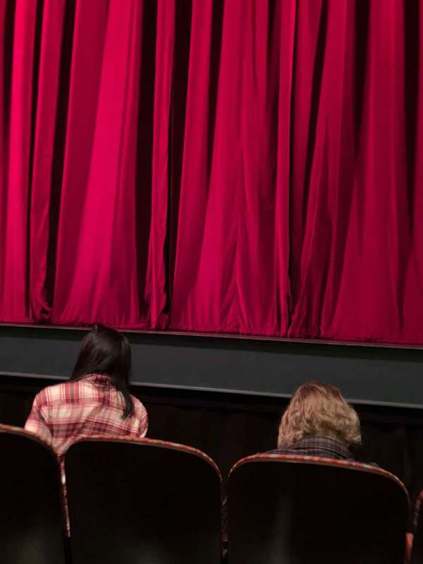 The Joyce Theater, section: Orchestra, row: C, seat: 105