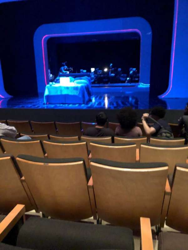 The Irene Diamond Stage at The Pershing Square Signature Center, section: Orchestra, row: F, seat: 115