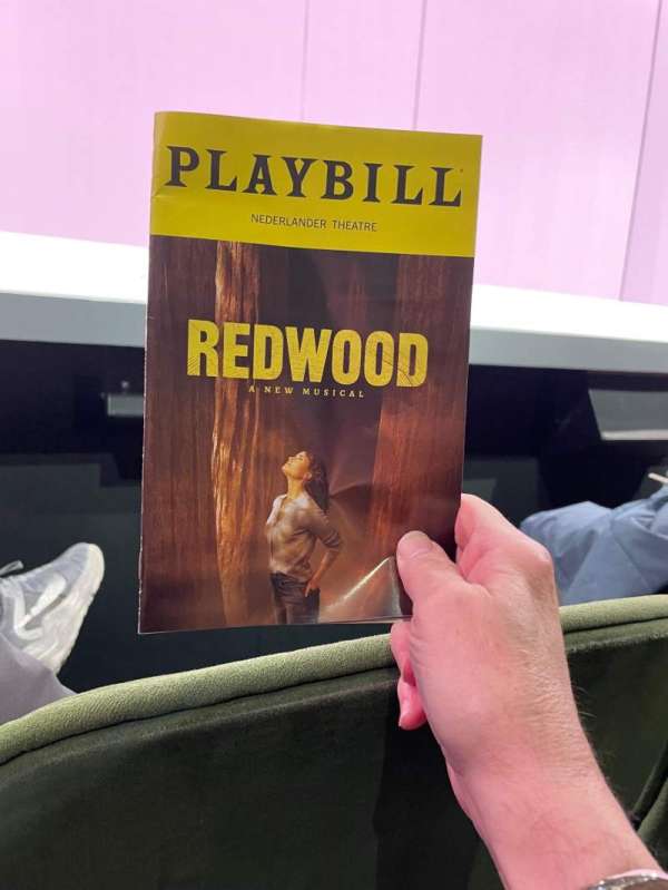 Nederlander Theatre, section: Orchestra C, row: B, seat: 115