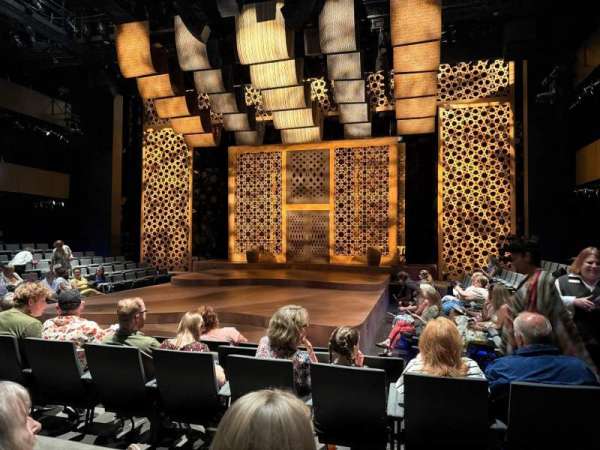 Wyly Theatre at the Dallas Theater Center, section: ORCH TERRACE CENTER, row: E, seat: 102