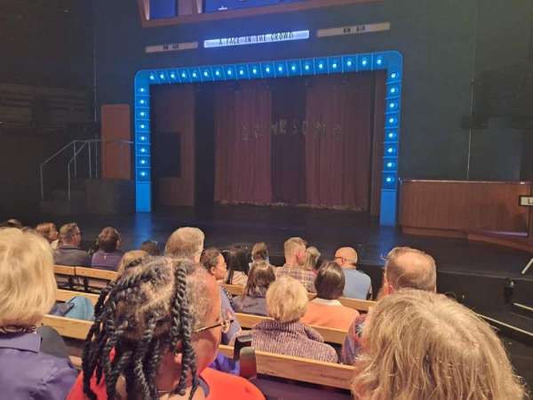 Young Vic, section: Stalls, row: F, seat: 11