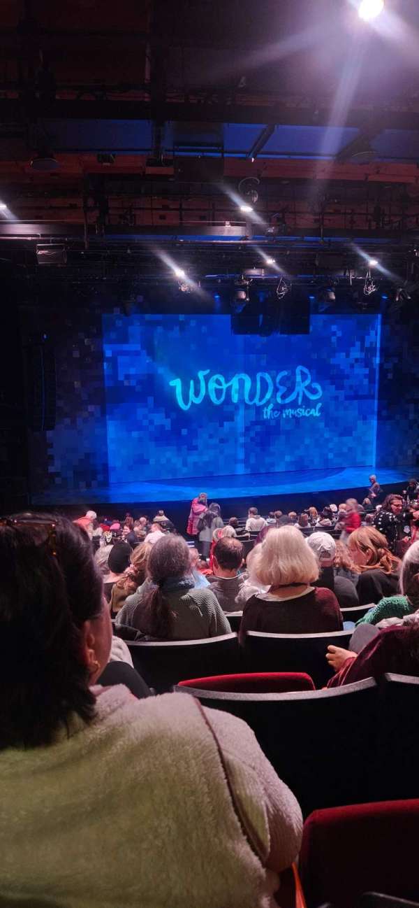 Loeb Drama Center, section: D, row: M, seat: 29