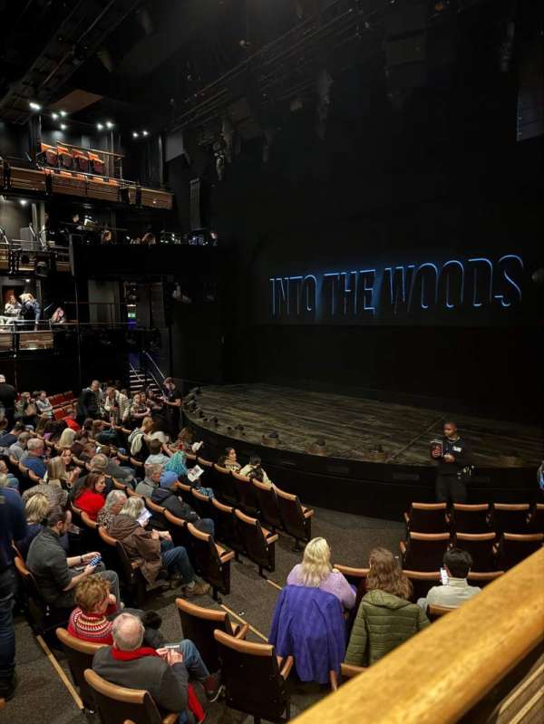 Bridge Theatre, section: Stalls, row: R, seat: 13
