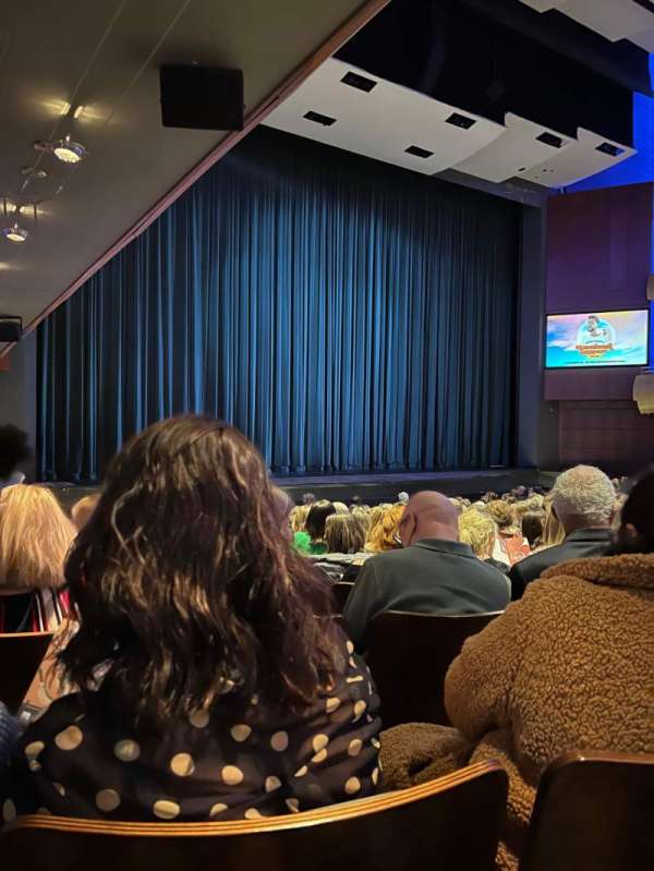 DeVos Performance Hall, section: Orchestra, row: O, seat: 49