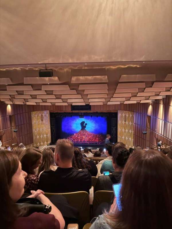 Fisher Theatre, section: Balcony RC, row: S, seat: 116