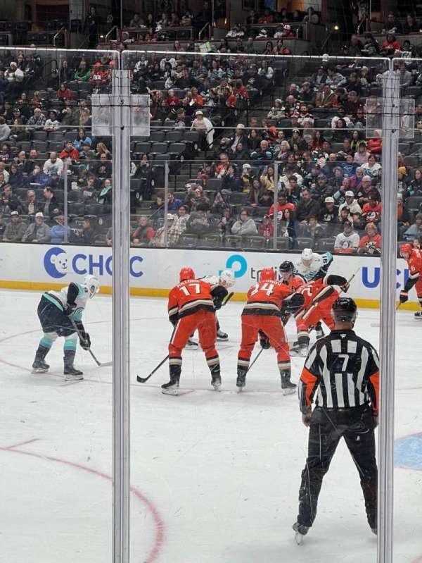 Honda Center, section: 204, row: G, seat: 1