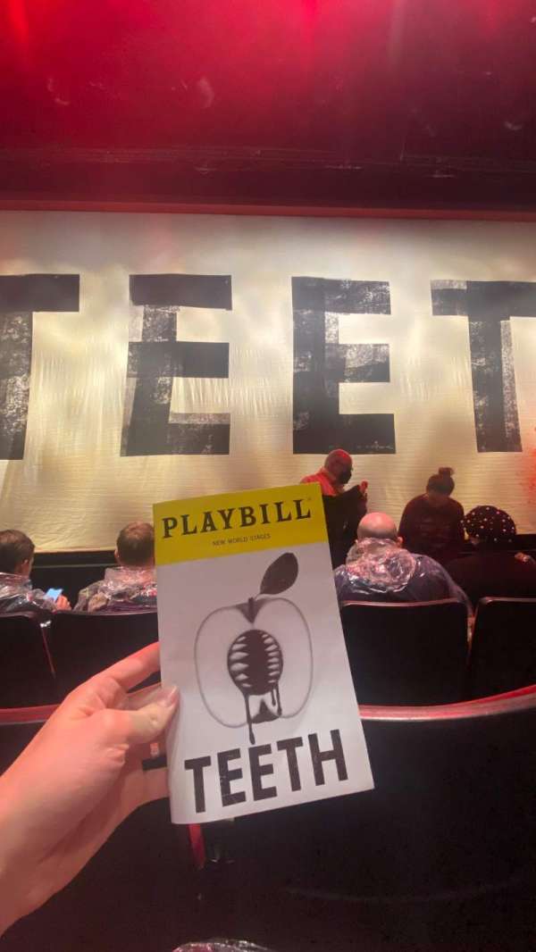 New World Stages - Stage 1, section: Orchestra C, row: D, seat: 111