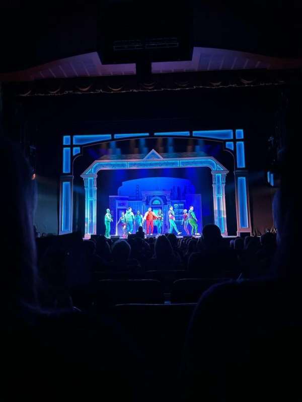 Fisher Theatre, section: Main Floor C, row: N, seat: 105