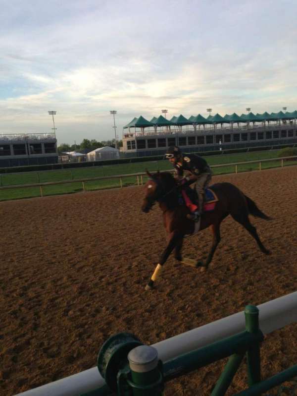 Churchill Downs, section: 124, row: A, seat: 34