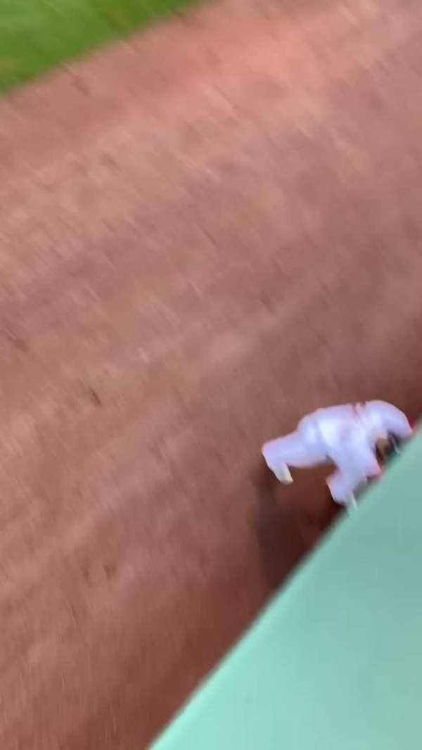 Fenway Park, section: Bleacher 36, row: 1, seat: 12