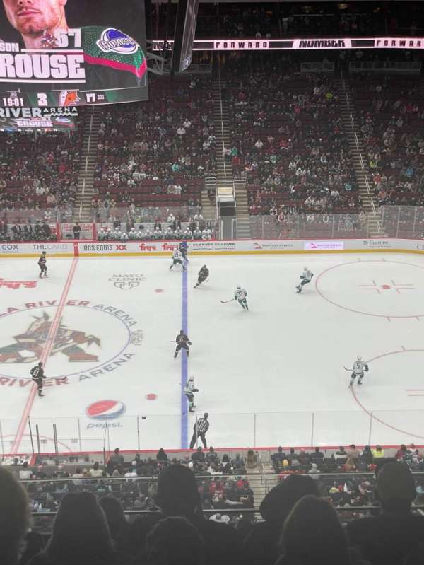 Desert Diamond Arena, section: 215, row: F, seat: 6