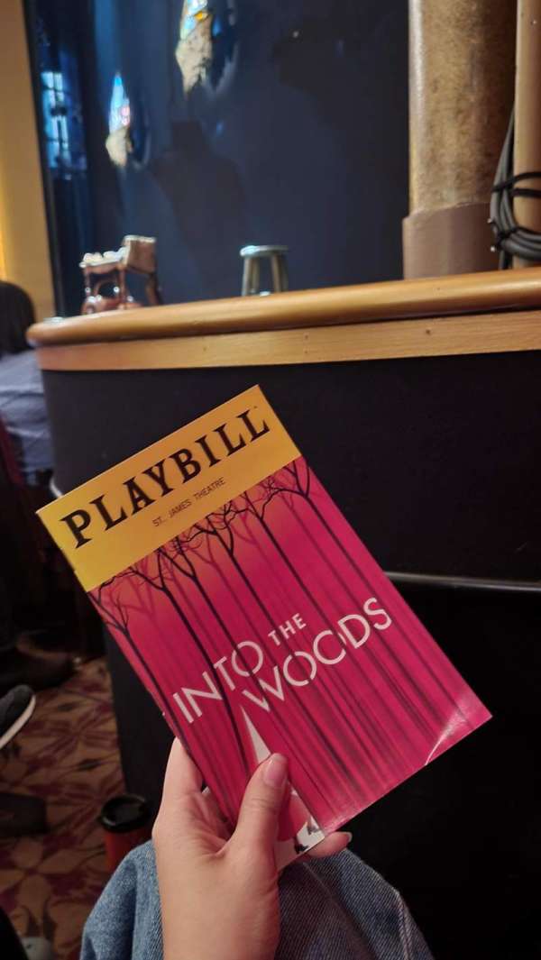 St. James Theatre, section: Orchestra R, row: B, seat: 14