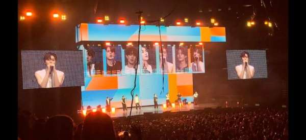 Honda Center, section: 206, row: M, seat: 1