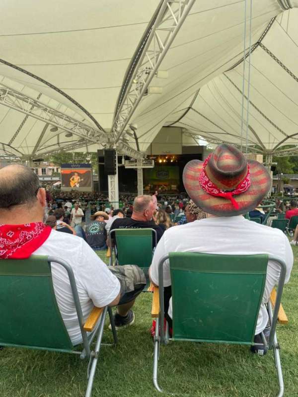 Cynthia Woods Mitchell Pavilion, section: Lawn