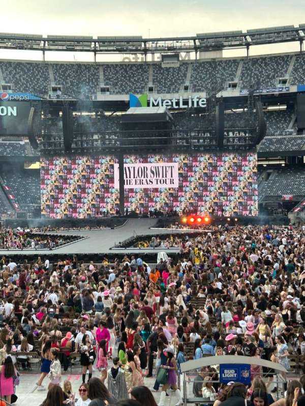 Metlife Stadium, section: 124, row: 15, seat: 17